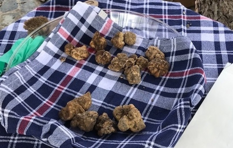 Sospesi gli appuntamenti della Stagione del Tartufo Bianco nel Monferrato